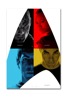 Star Trek Comicon 11X17