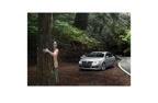 11 x17 VW-Tree Hugger