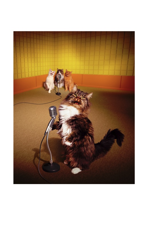 Loading Image