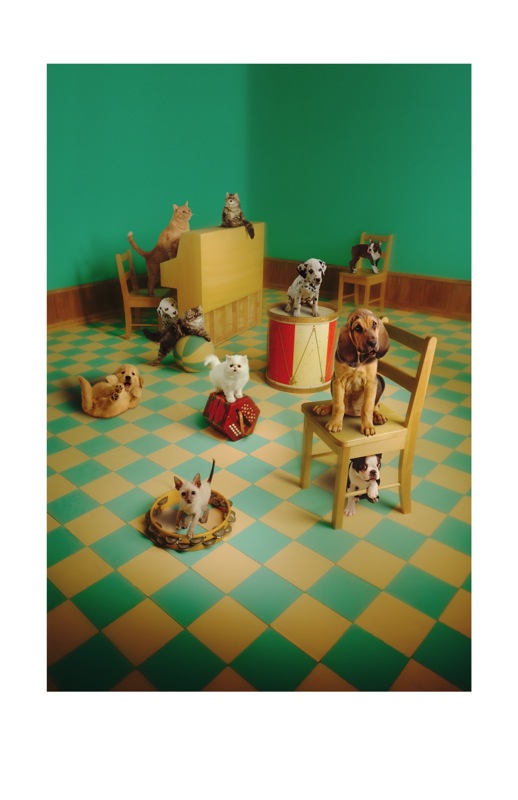 Loading Image