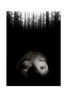 Blair Witch 11X17 Final